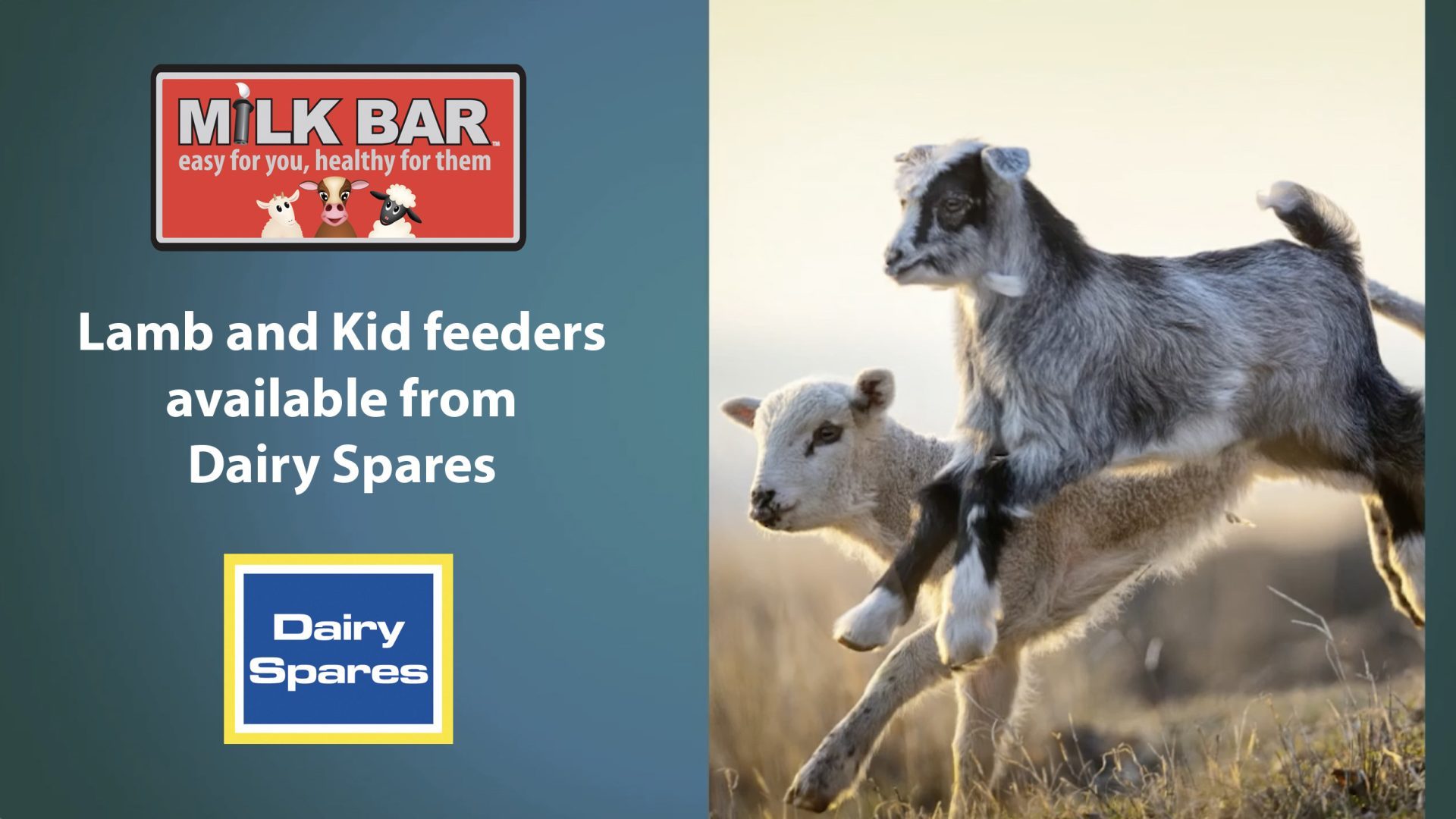 Milk Bar Lamb and Kid Feeders Dairy Spares