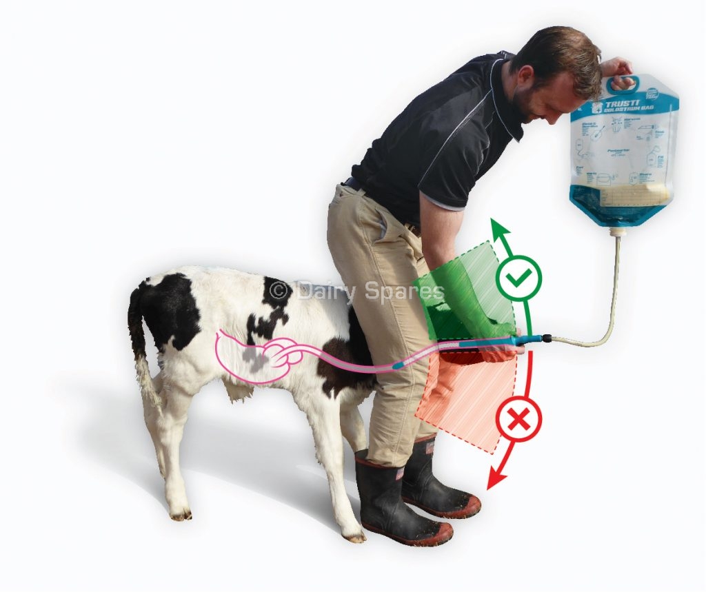 Trusti Tuber Colostrum Bags starter pack (10) with stomach tube Farm